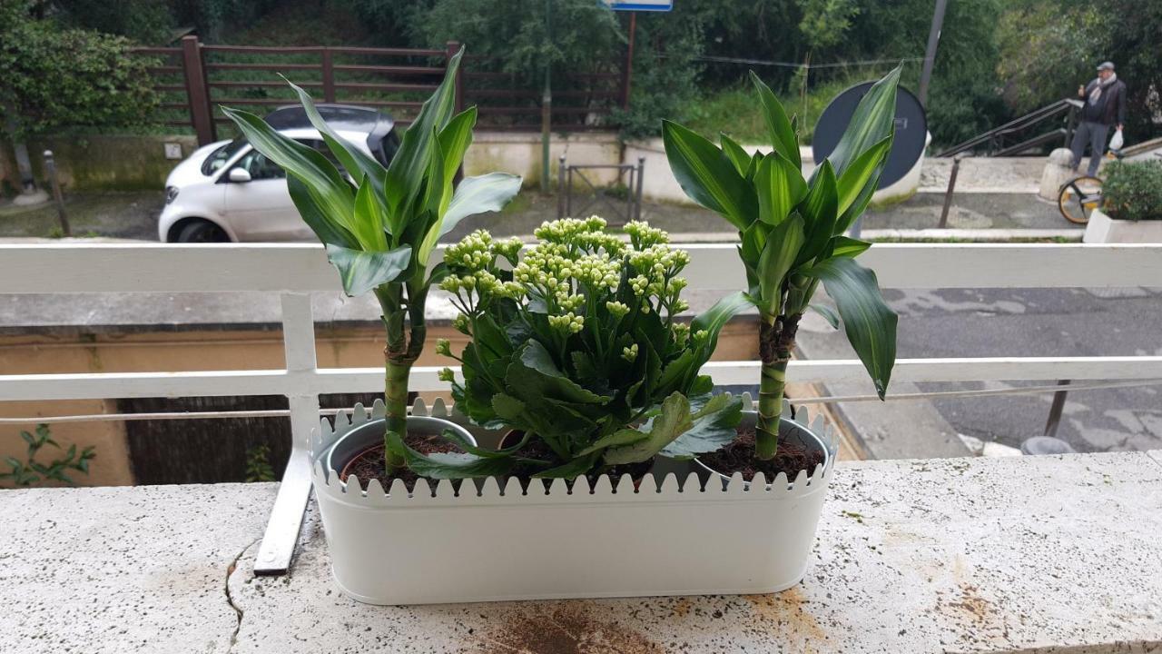 Appartamento Luminoso Con Vista Su Villa Ada Roma Ngoại thất bức ảnh